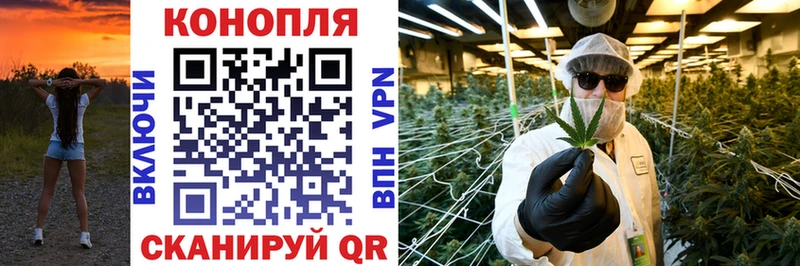 Шишки марихуана Bruce Banner Славск